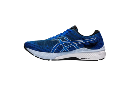 ASICS GT 2000 10