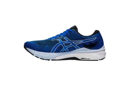 ASICS GT 2000 10